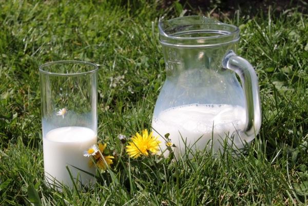 Североосетинские хозяйства увеличили производство молока