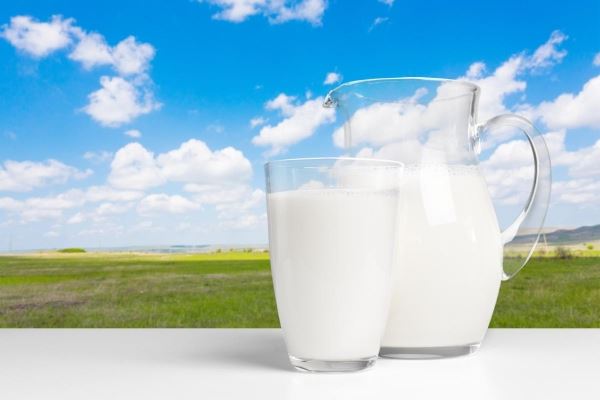 В Карачаево-Черкесии получено 177,9 тыс. т молока — на 1,9% больше, чем год назад
