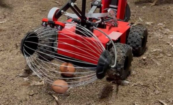 На сбор куриных яиц робот «Овораптор» отправится в 2023 году