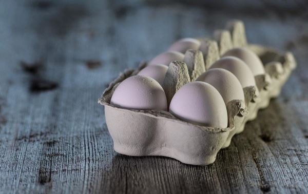 Российские птицеводы нарастили производство яиц на 1 млрд шт. — «Росптицесоюз»