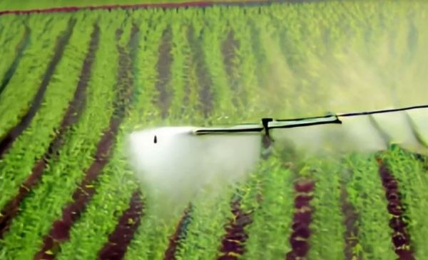 Что ожидает рынок пестицидов в 2023 году