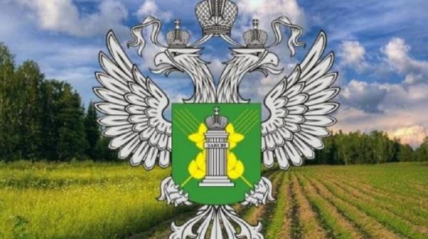 Предварительные итоги осуществления государственного земельного надзора на территории Пензенской области за 2022 год