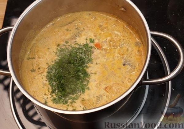 Суп с цветной капустой, грибами, рисом и сливками