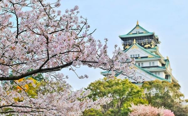 У туроператоров уже можно забронировать туры в Японию на Сакуру<br />
