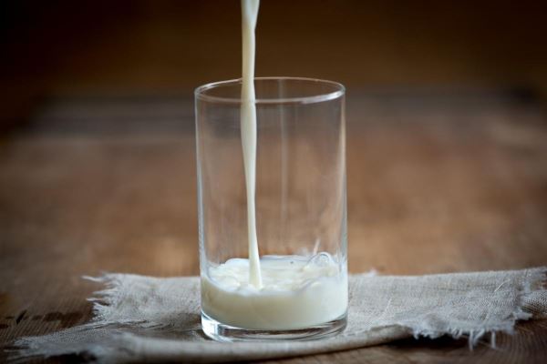 Выпуск молока в сельхозорганизациях и КФХ Мордовии вырос на 7,7%
