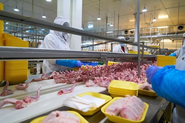В России оптовые цены на мясо птицы опустились ниже уровня прошлого года