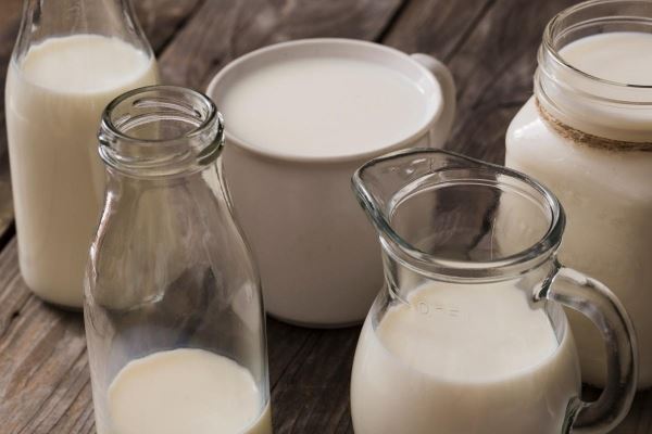 В сельхозорганизациях Республики Алтай на 18% увеличилось производство молока