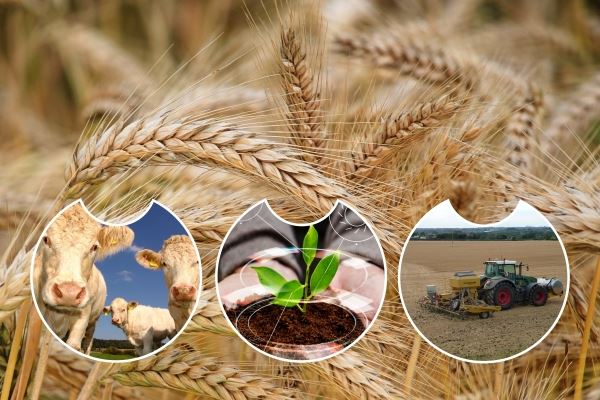 Индекс сельхозпроизводства в России в этом году ожидается на уровне 103,5% — Патрушев 